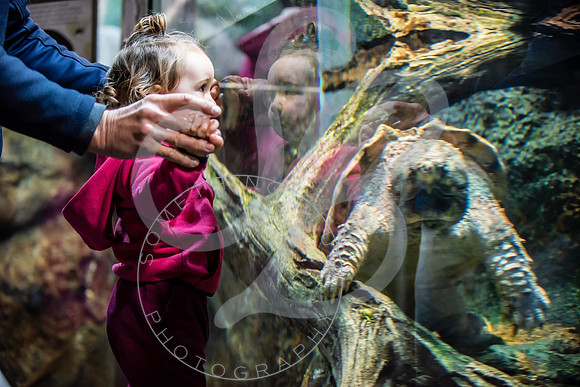 Zoo Trip 2023_122823_1494