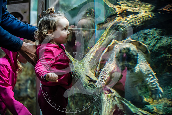 Zoo Trip 2023_122823_1497