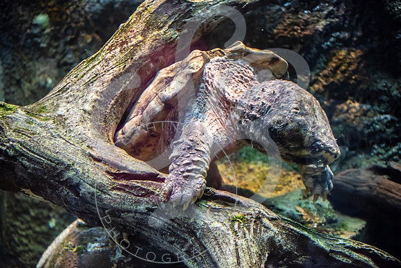 Zoo Trip 2023_122823_1500