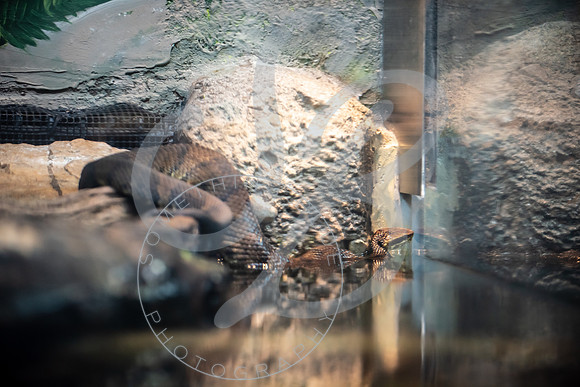 Zoo Trip 2023_122823_1516