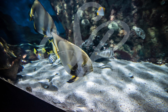 Zoo Trip 2023_122823_1613