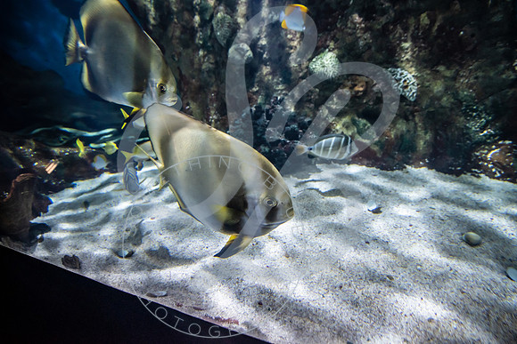 Zoo Trip 2023_122823_1615