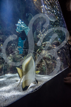 Zoo Trip 2023_122823_1616