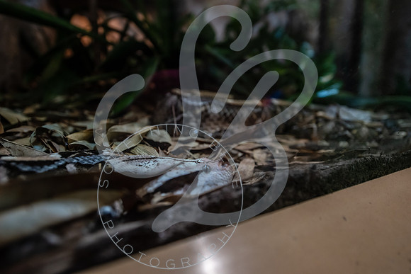 Zoo Trip 2023_122823_1679