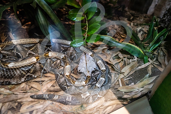 Zoo Trip 2023_122823_1683