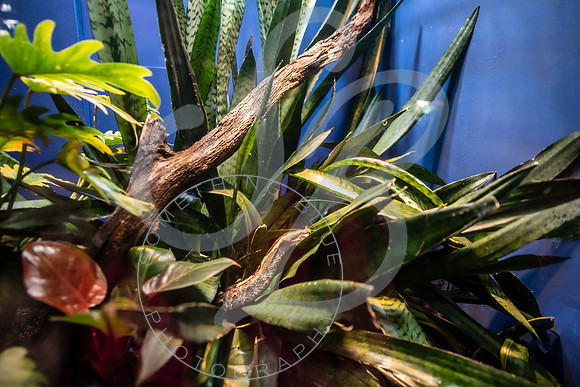 Zoo Trip 2023_122823_1685