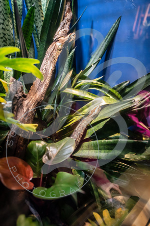 Zoo Trip 2023_122823_1691