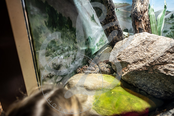 Zoo Trip 2023_122823_1696