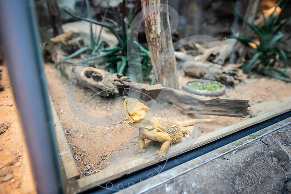 Zoo Trip 2023_122823_1734