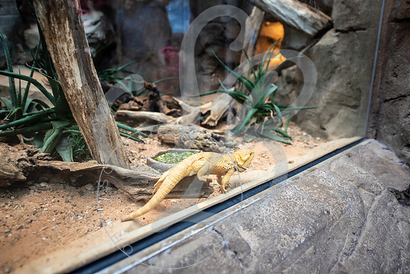 Zoo Trip 2023_122823_1739