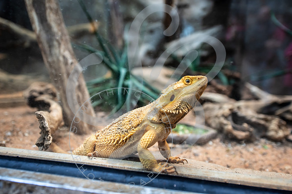 Zoo Trip 2023_122823_1741
