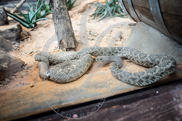 Zoo Trip 2023_122823_1750