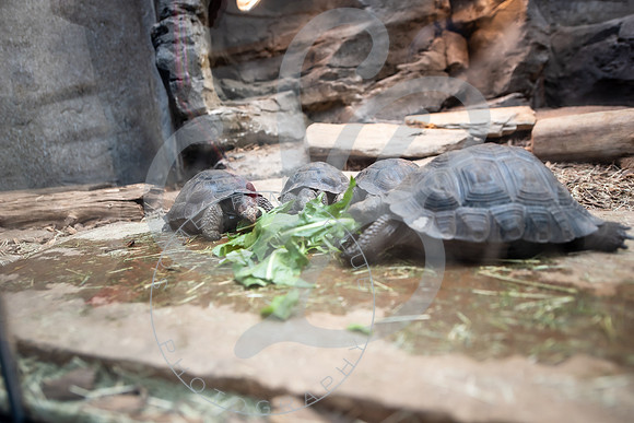 Zoo Trip 2023_122823_1756