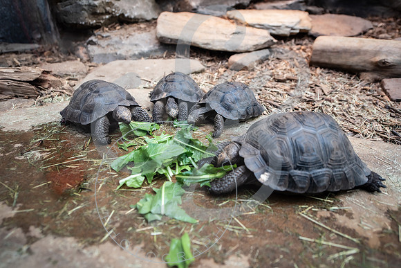 Zoo Trip 2023_122823_1759
