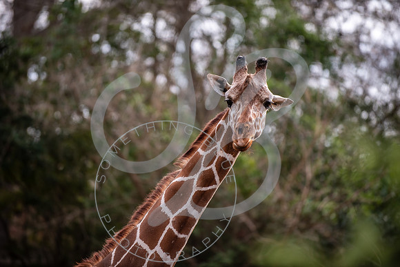 Zoo Trip 2023_122823_1787