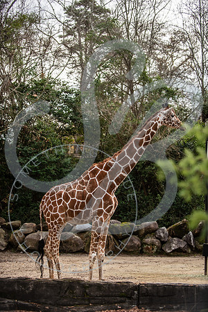 Zoo Trip 2023_122823_1793