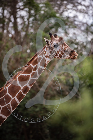 Zoo Trip 2023_122823_1799