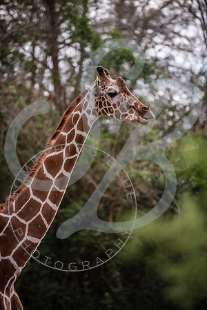 Zoo Trip 2023_122823_1804