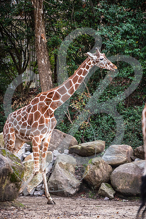 Zoo Trip 2023_122823_1809