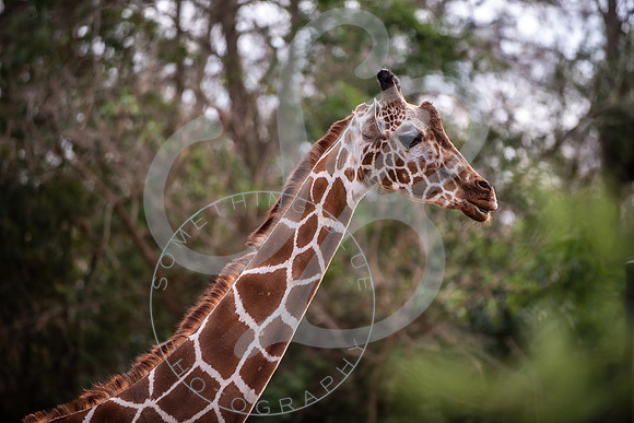 Zoo Trip 2023_122823_1813