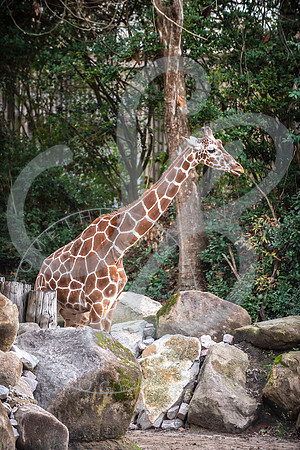 Zoo Trip 2023_122823_1810
