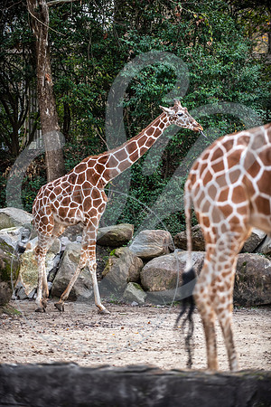 Zoo Trip 2023_122823_1811
