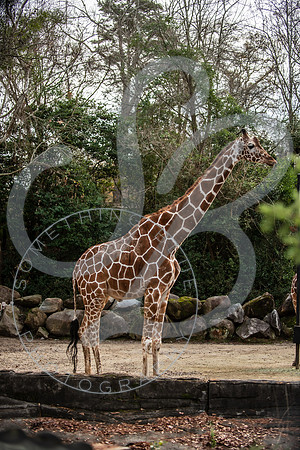Zoo Trip 2023_122823_1818