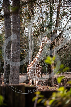 Zoo Trip 2023_122823_1832