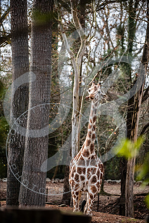 Zoo Trip 2023_122823_1840