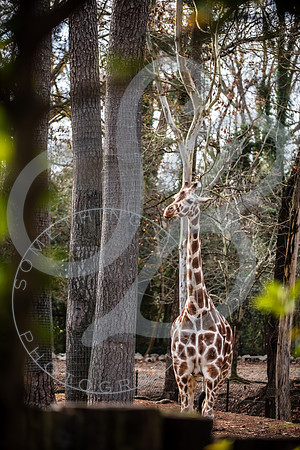Zoo Trip 2023_122823_1845