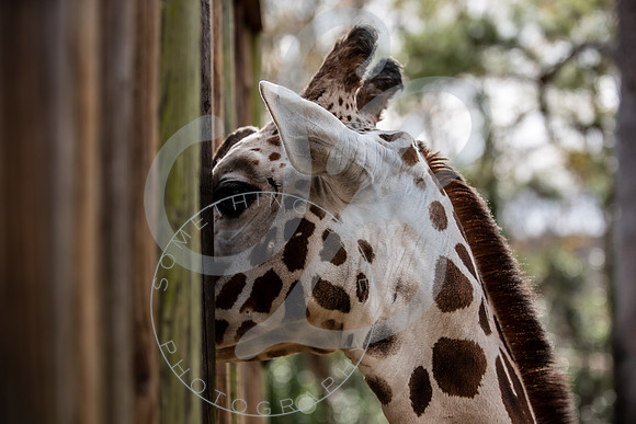 Zoo Trip 2023_122823_1896
