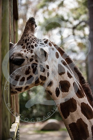 Zoo Trip 2023_122823_1898