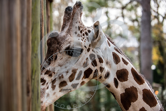 Zoo Trip 2023_122823_1910