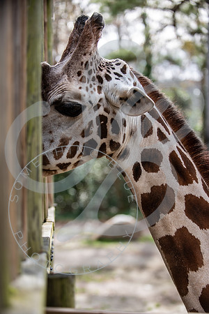 Zoo Trip 2023_122823_1917