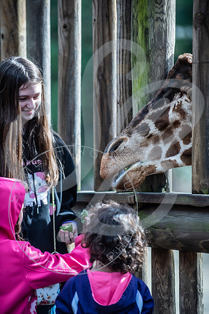 Zoo Trip 2023_122823_1942