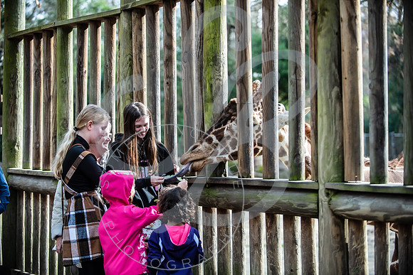 Zoo Trip 2023_122823_1930