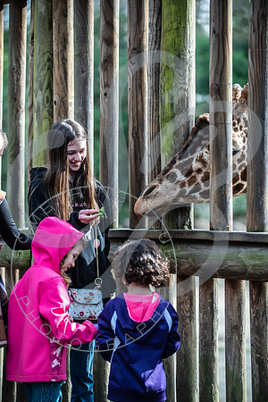 Zoo Trip 2023_122823_1949