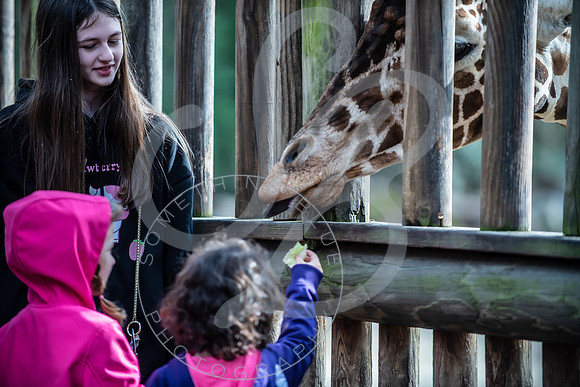 Zoo Trip 2023_122823_1951