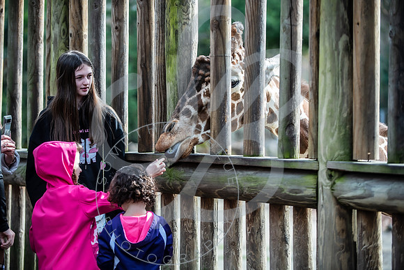 Zoo Trip 2023_122823_1956