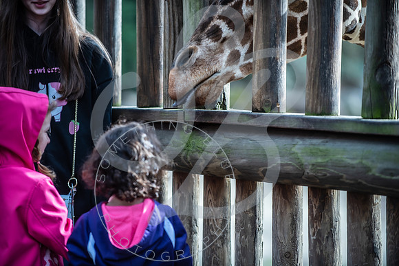 Zoo Trip 2023_122823_1952