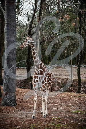Zoo Trip 2023_122823_1973