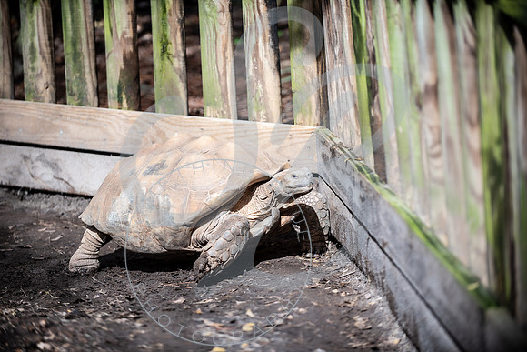 Zoo Trip 2023_122823_2010