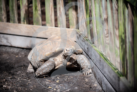 Zoo Trip 2023_122823_2014