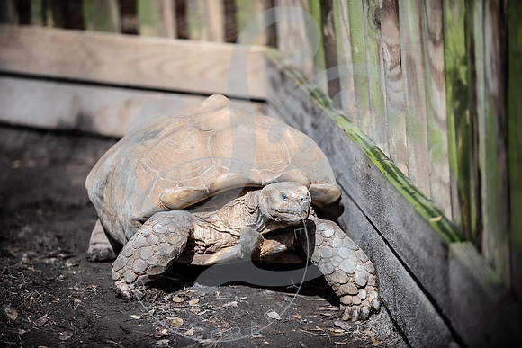 Zoo Trip 2023_122823_2019