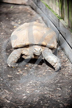 Zoo Trip 2023_122823_2021