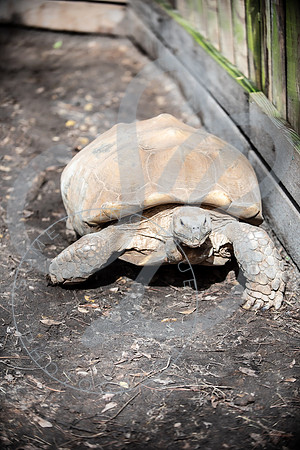 Zoo Trip 2023_122823_2023