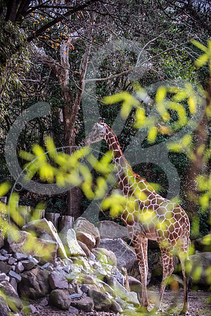 Zoo Trip 2023_122823_2029