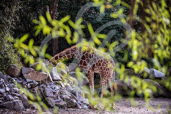 Zoo Trip 2023_122823_2030