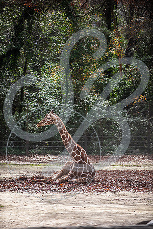 Zoo Trip 2023_122823_2034