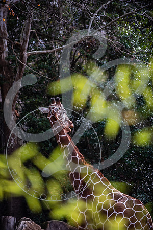 Zoo Trip 2023_122823_2042